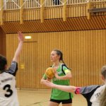 2016_01_16 Landesliga Jugend 19